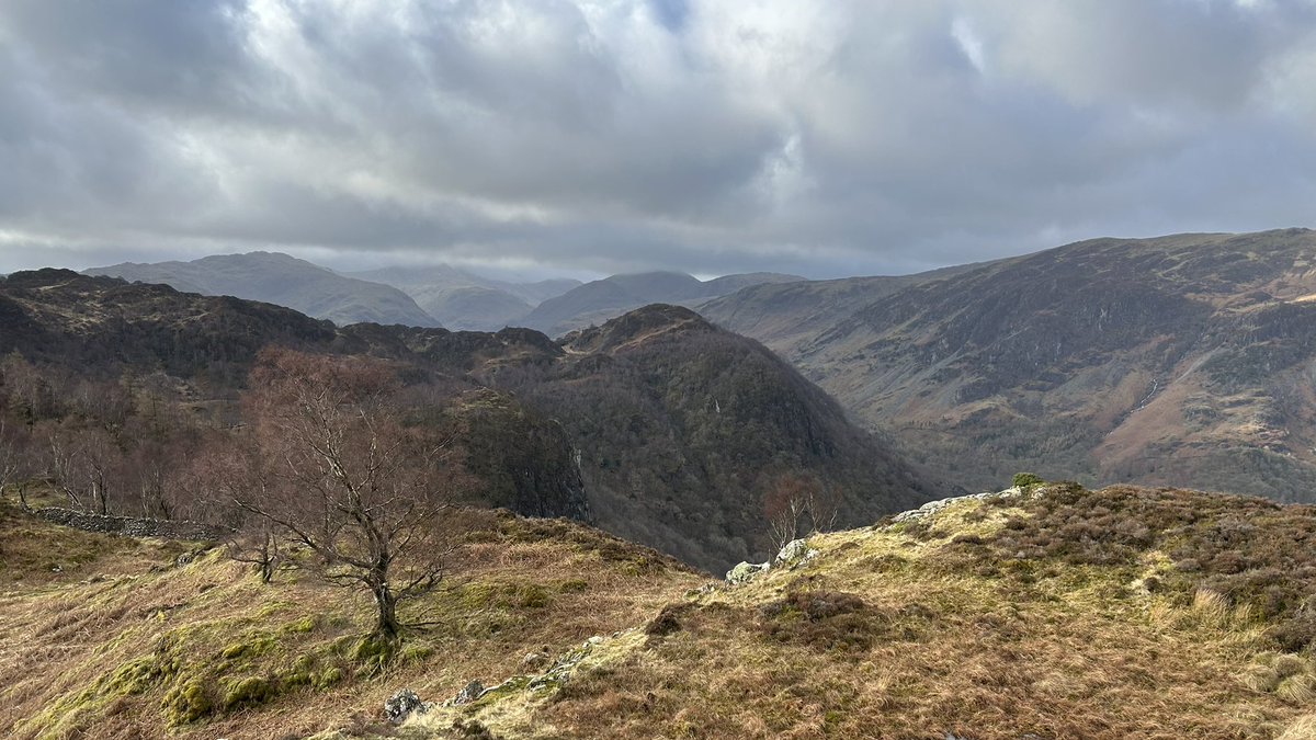 Dave Allen 🏌️‍♂️🥾⛰ tweet media