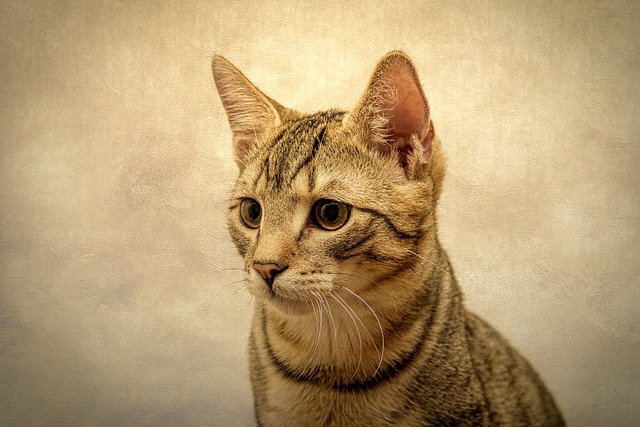 Teresa Besch tweet media