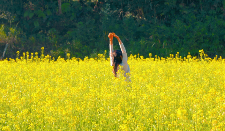 AmazingPuer's tweet image. Come to Pu’er and enjoy the beauty of spring in the countryside — every step reveals a new scene. 🌼🌱

#YunnanSpring #CountrysideView #SpringScenery #ChinaTravel 🌿🌼
