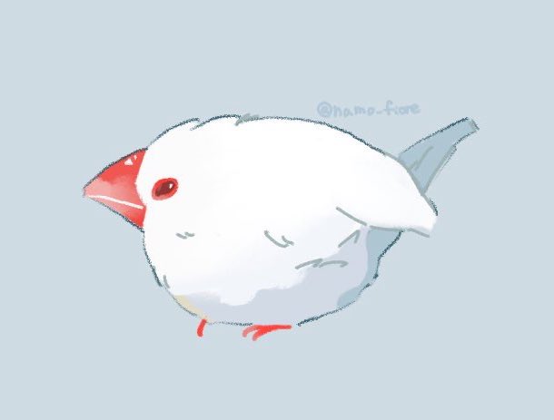 namo_fiore's tweet photo. #文鳥
【イラスト企画】
無地背景に文鳥1羽を描きます！
アイコンとして使用可能です

絵柄は添付の画像を参考にしてください

🌟応募方法:フォロー（新規可）&amp;リポスト
⚠︎鍵垢は対象外です

締切は3/13（金） 21:00
あたるってぃーを使用して抽選を行います
当選者（1名）にのみDMを送ります✉️ https://t.co/y9ghNDehyl
