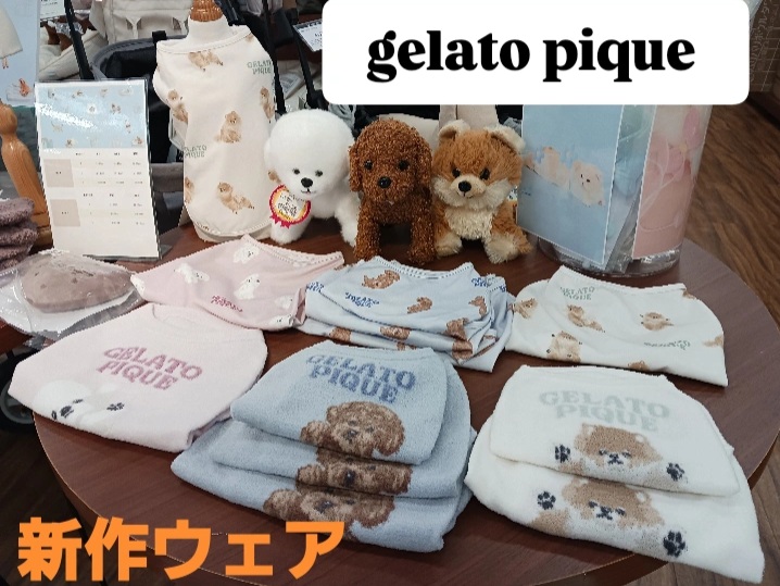 GELATO PIQUE ♡ポメラニアンちゃん お腹見せ　ブランケット♡ 8階【＃P2ハンズ名古屋店】 〖gelato pique 〗 新作ウェア❗ 本日