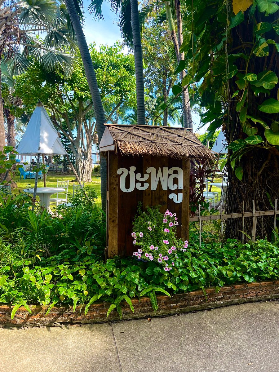 เอ็กโย่วแอ็ค tweet media