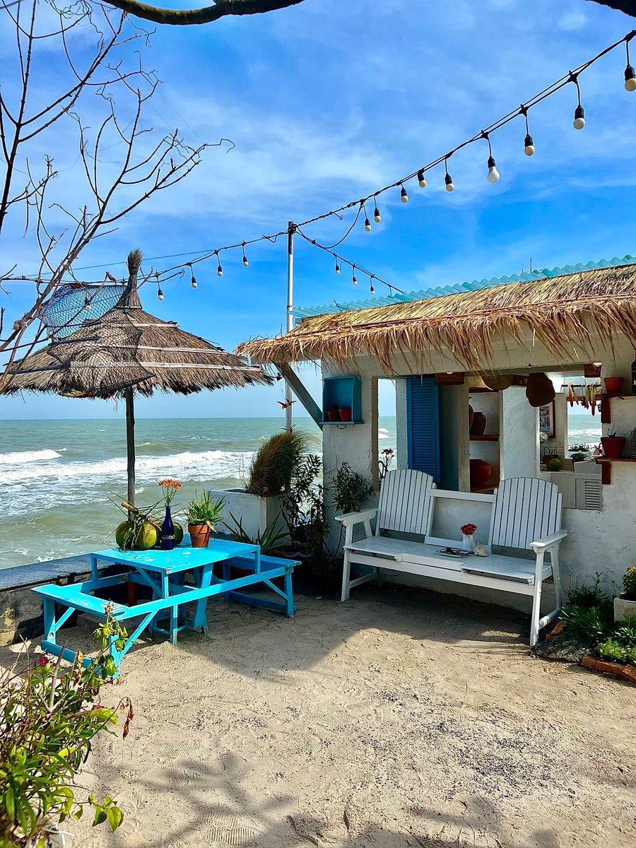 เอ็กโย่วแอ็ค tweet media