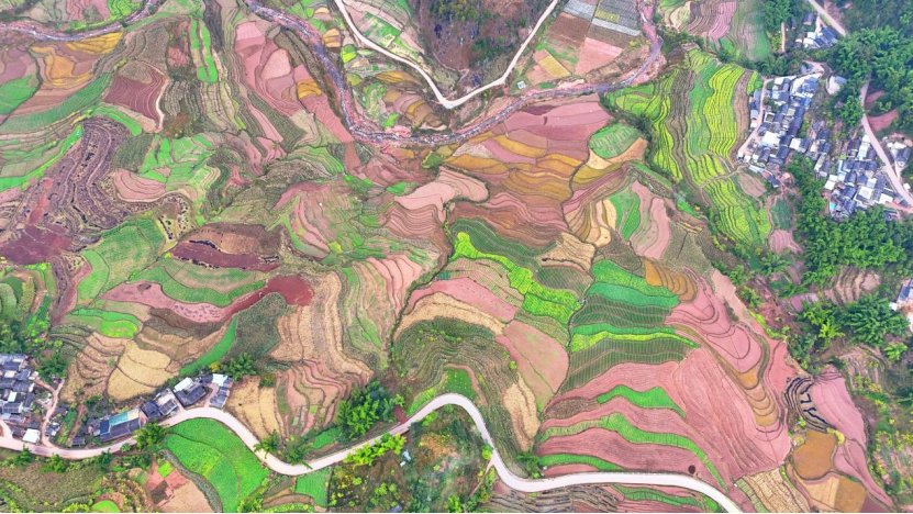 AmazingPuer's tweet image. Come to Pu’er and enjoy the beauty of spring in the countryside — every step reveals a new scene. 🌼🌱

#YunnanSpring #CountrysideView #SpringScenery #ChinaTravel 🌿🌼