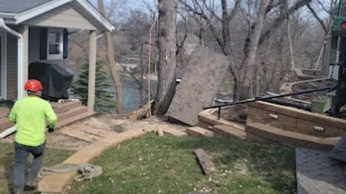 Tree & Snow Removal Services (@Treesnowservice) / Posts / X