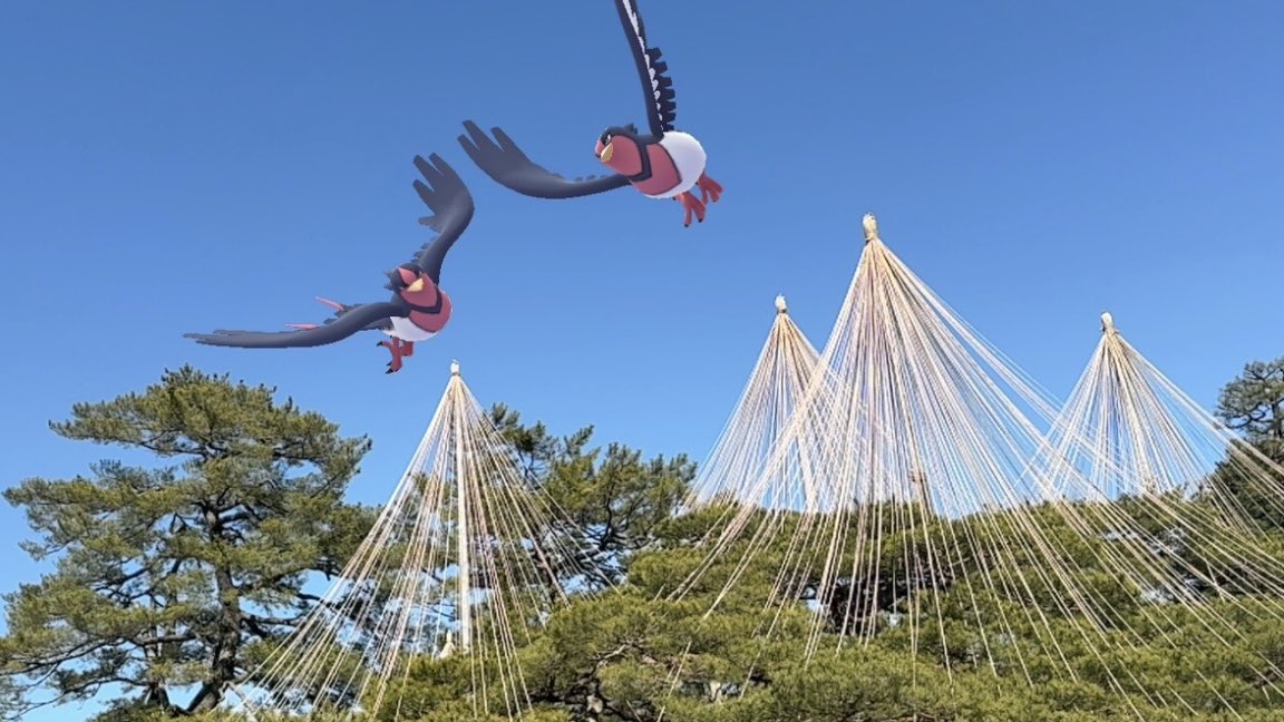 ブロ＊＊＊ tweet media