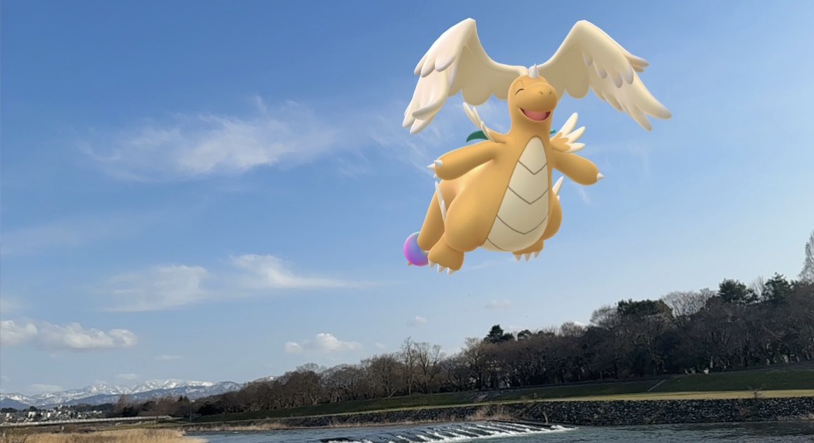 ブロ＊＊＊ tweet media