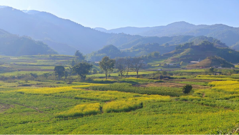 AmazingPuer's tweet image. Come to Pu’er and enjoy the beauty of spring in the countryside — every step reveals a new scene. 🌼🌱

#YunnanSpring #CountrysideView #SpringScenery #ChinaTravel 🌿🌼