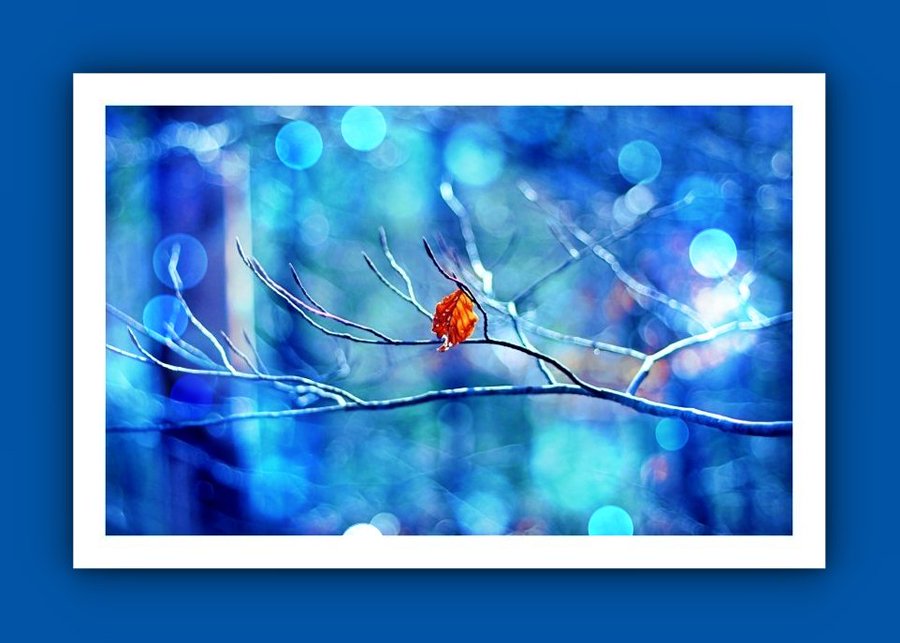 💜 Franco 💜 tweet media