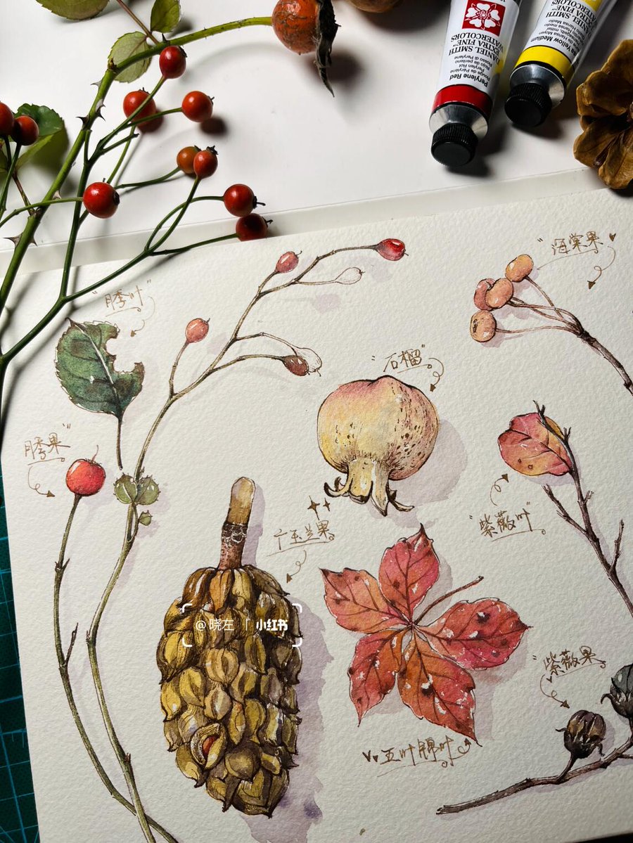 Jonathan Allen tweet media