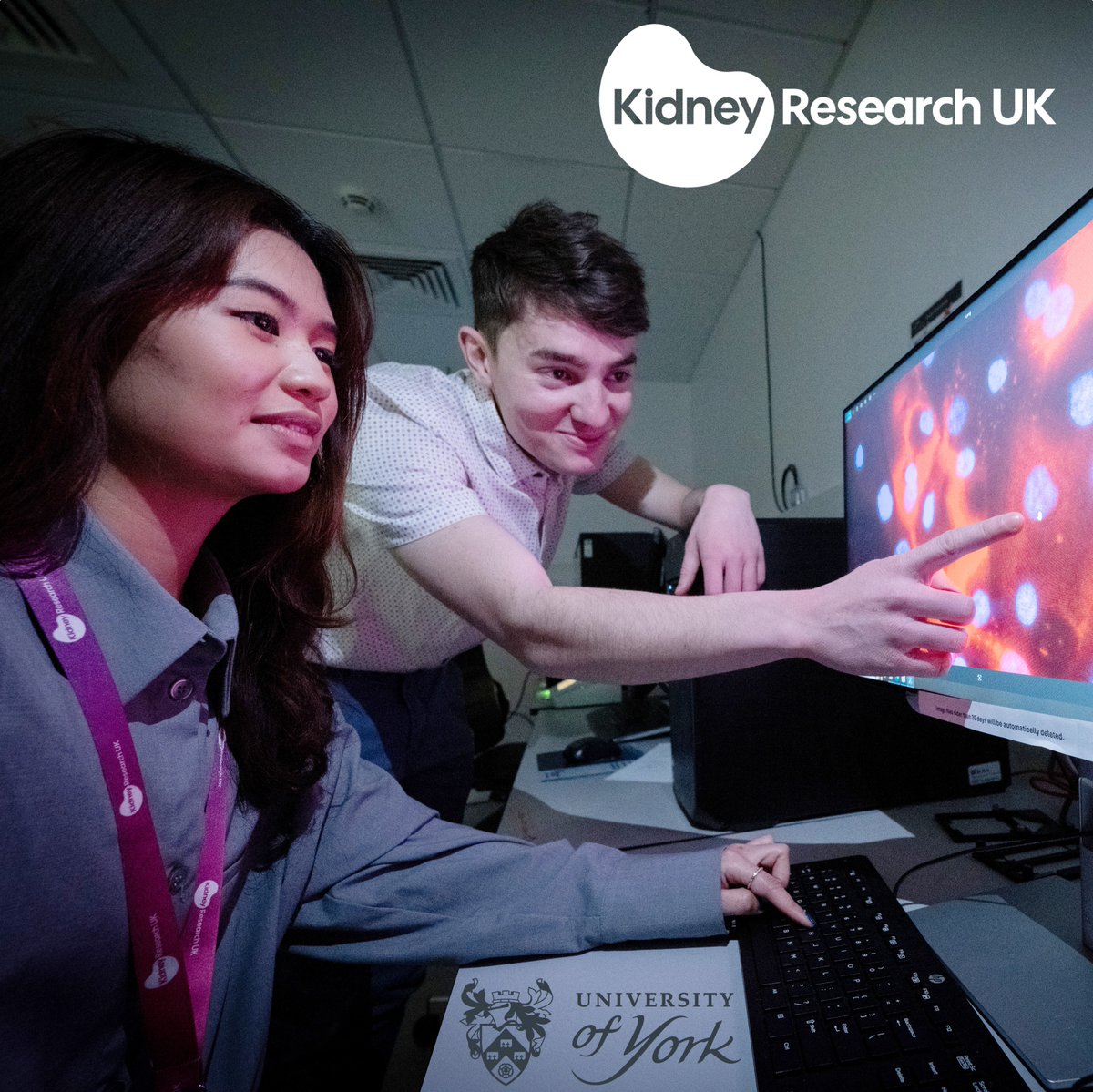 Biology at York tweet media