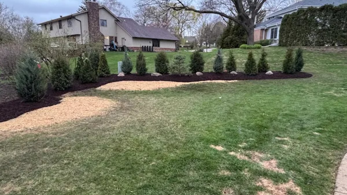 Tree & Snow Removal Services (@Treesnowservice) / Posts / X