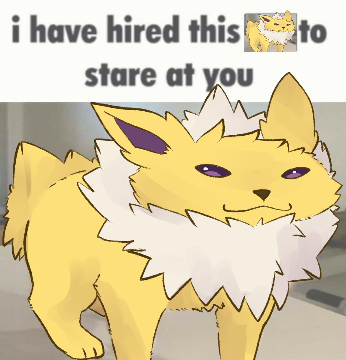 Ein (Varu) tweet media