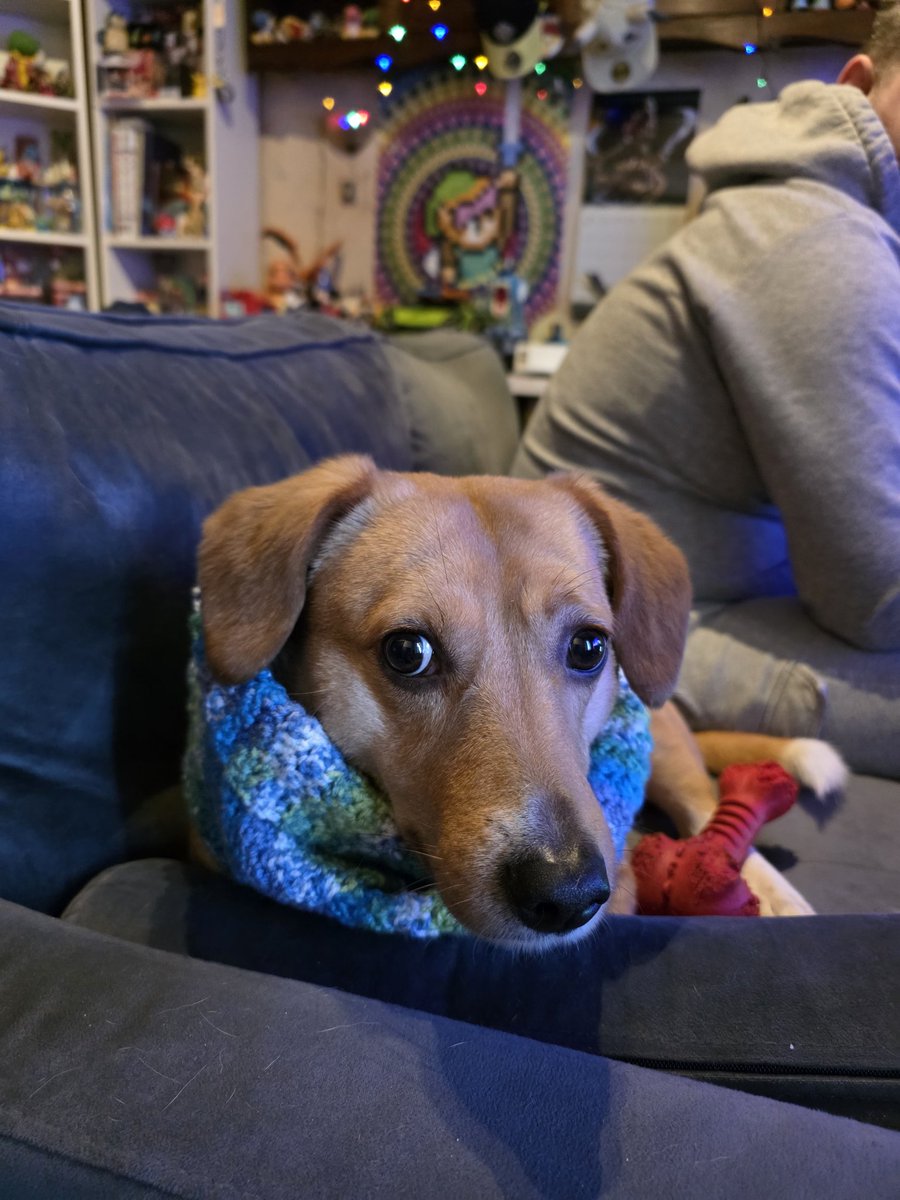 CaptainLink tweet media