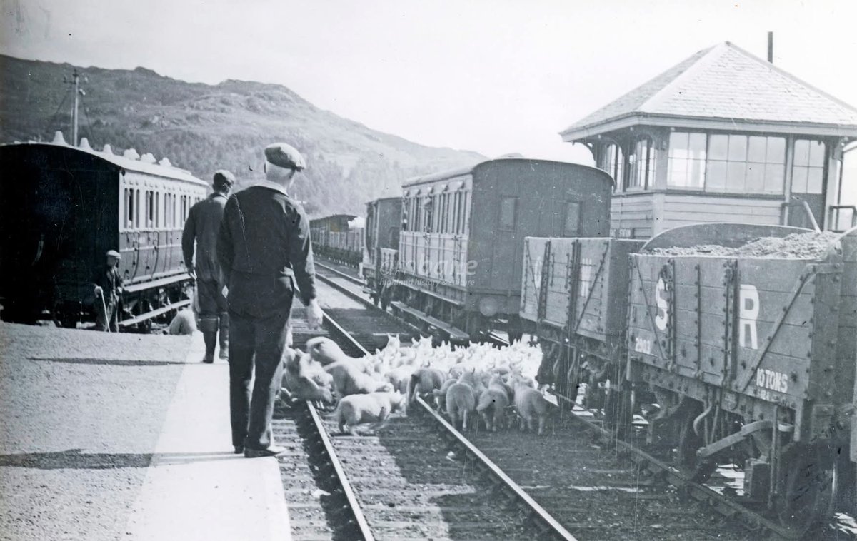 Friends of the West Highland Lines tweet media