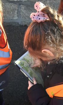 Rothiemay Primary School tweet media