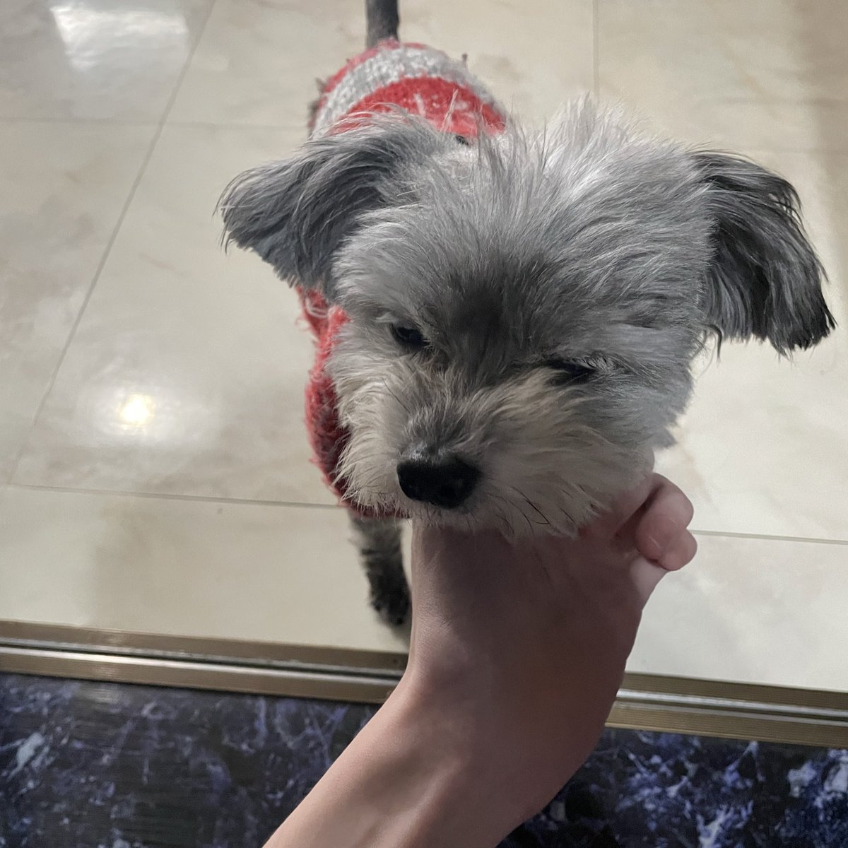 起きました  夜ラン配信確定