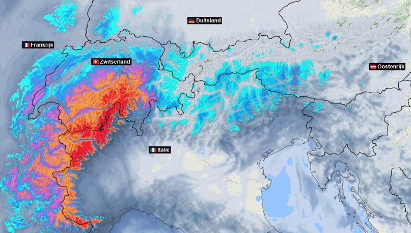 Roel van den Bekerom tweet media