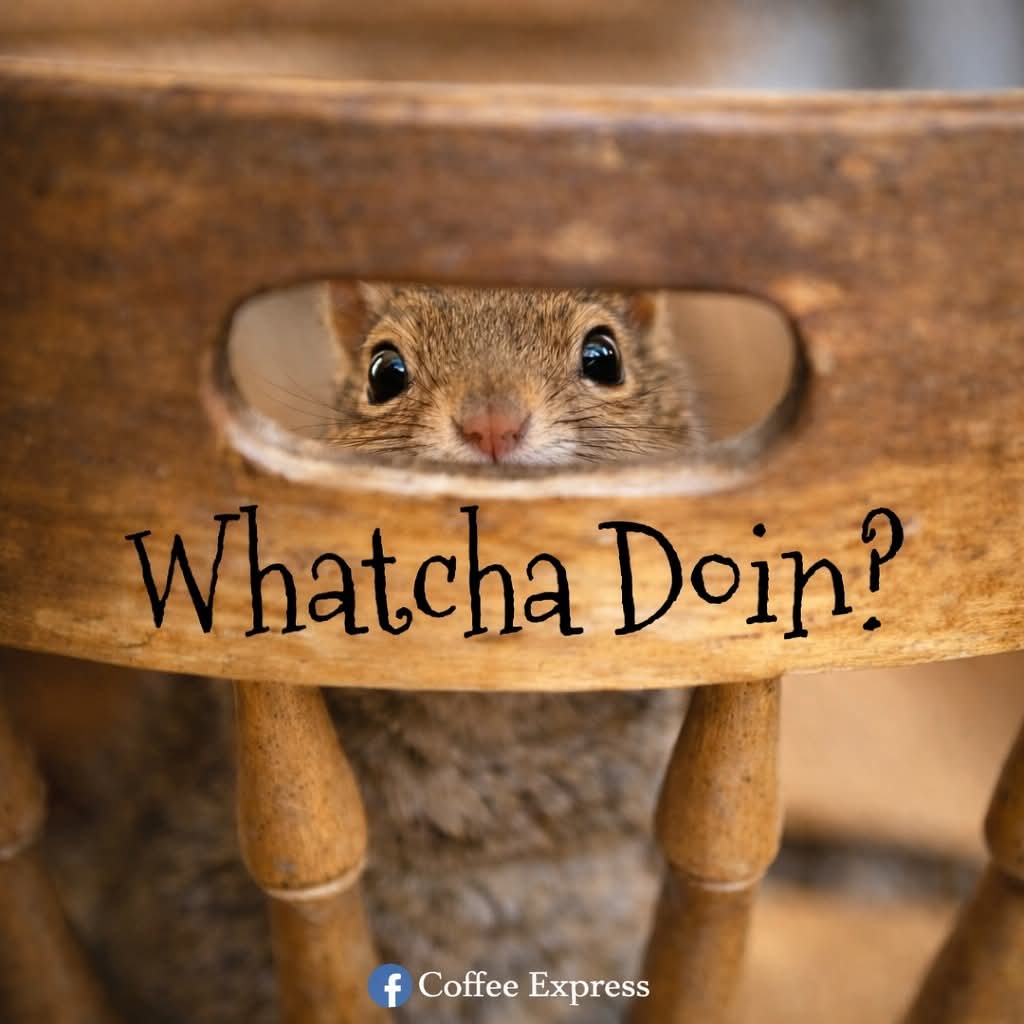 Annette Barstow tweet media