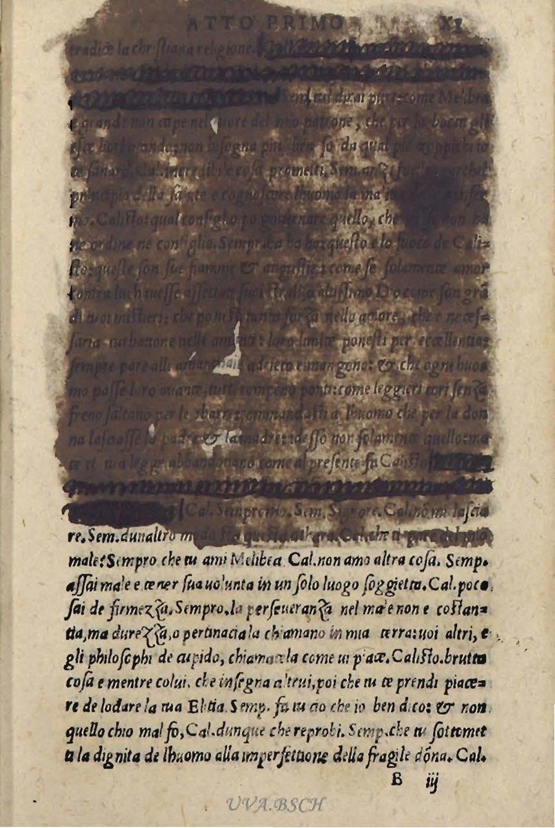 BUVa SantaCruz tweet media