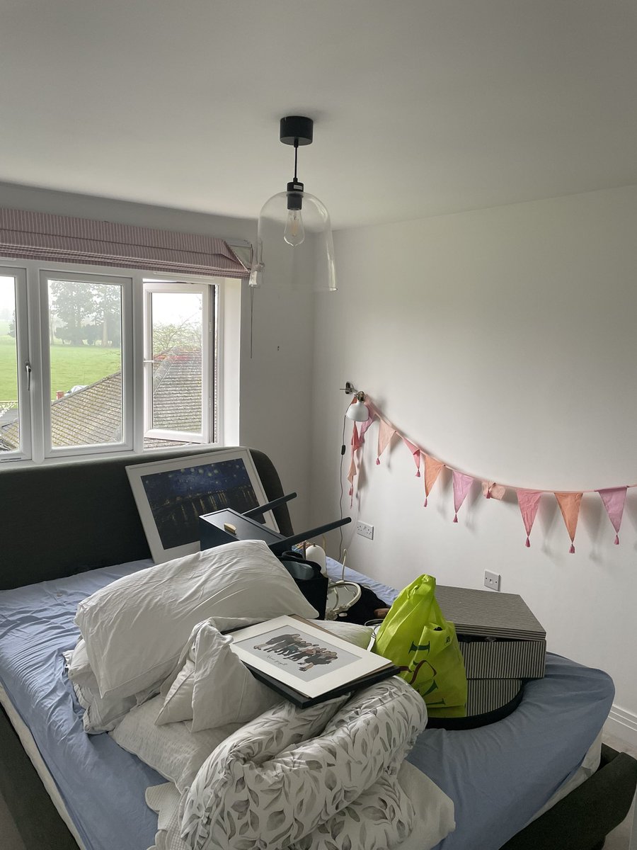 The Alpine Painter tweet media