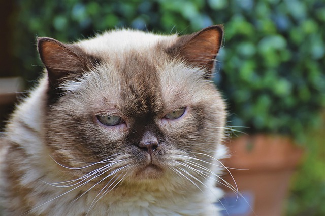 Relap Deyer tweet media