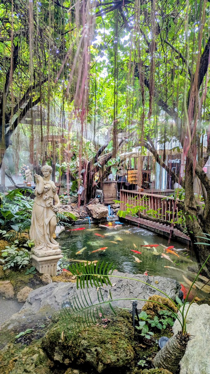 Darshan Gajara tweet media