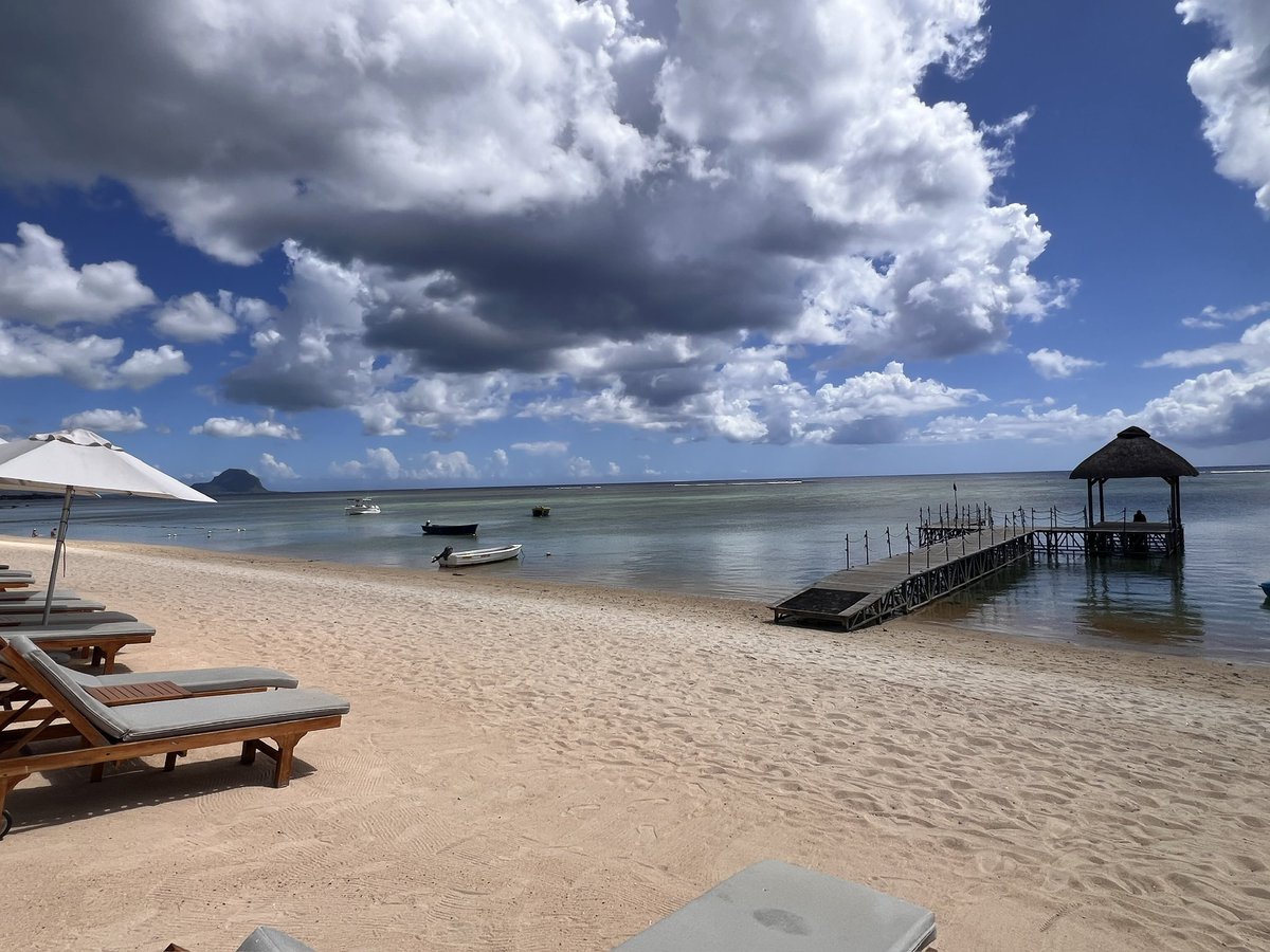 ⚜️ T̴H̴E̴ ̴C̴R̴Y̴P̴T̴O̴ ̴A̴R̴C̴H̴I̴T̴E̴C̴T̴ ⚜️ tweet media