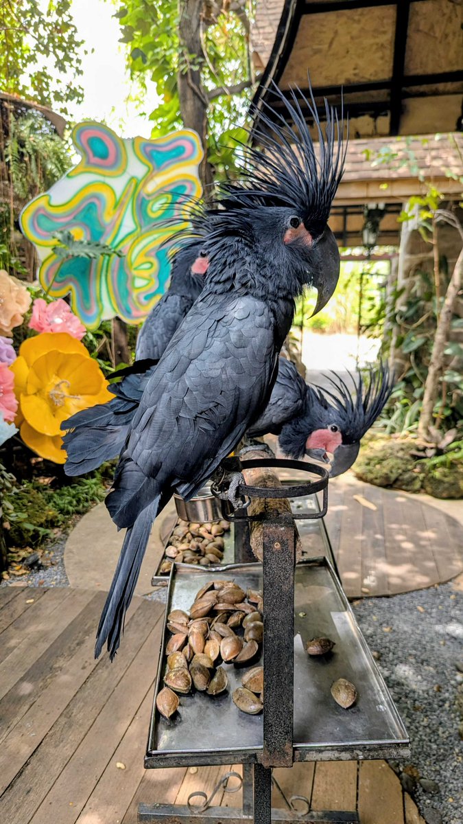 Darshan Gajara tweet media