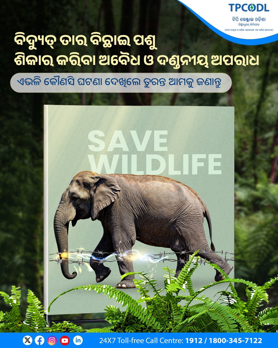 TPCentralOdisha's tweet photo. ହାତୀଙ୍କ ସୁରକ୍ଷା ପାଇଁ ସଂକଳ୍ପ ନେବା । ବିଦ୍ୟୁତ୍ ତାର ଲଗାଇ ହାତୀ ଶିକାର ବନ୍ଦ କରିବା ସହ ଏଭଳି ଘଟଣା ଆପଣଙ୍କ ନଜରକୁ ଆସିଲେ ତୁରନ୍ତ ନିକଟସ୍ଥ ବିଦ୍ୟୁତ୍ କାର୍ଯ୍ୟାଳୟ କିମ୍ବା ବନ ବିଭାଗକୁ ଜଣାନ୍ତୁ।
 
#TPCODL #ProtectWildlife #StopPoaching #ElectricalSafety

@OPGC_ODISHA https://t.co/OmZQbKuUew