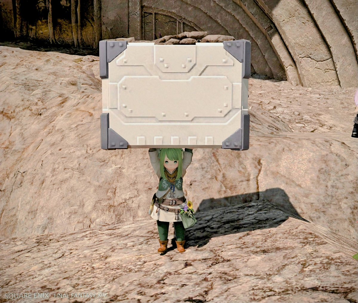 jun_rokinoe's tweet photo. オイジュス！オイジュス！
#FF14 https://t.co/eGtZoHs14y