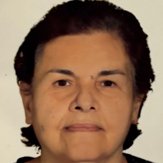 23 DERECE tweet media