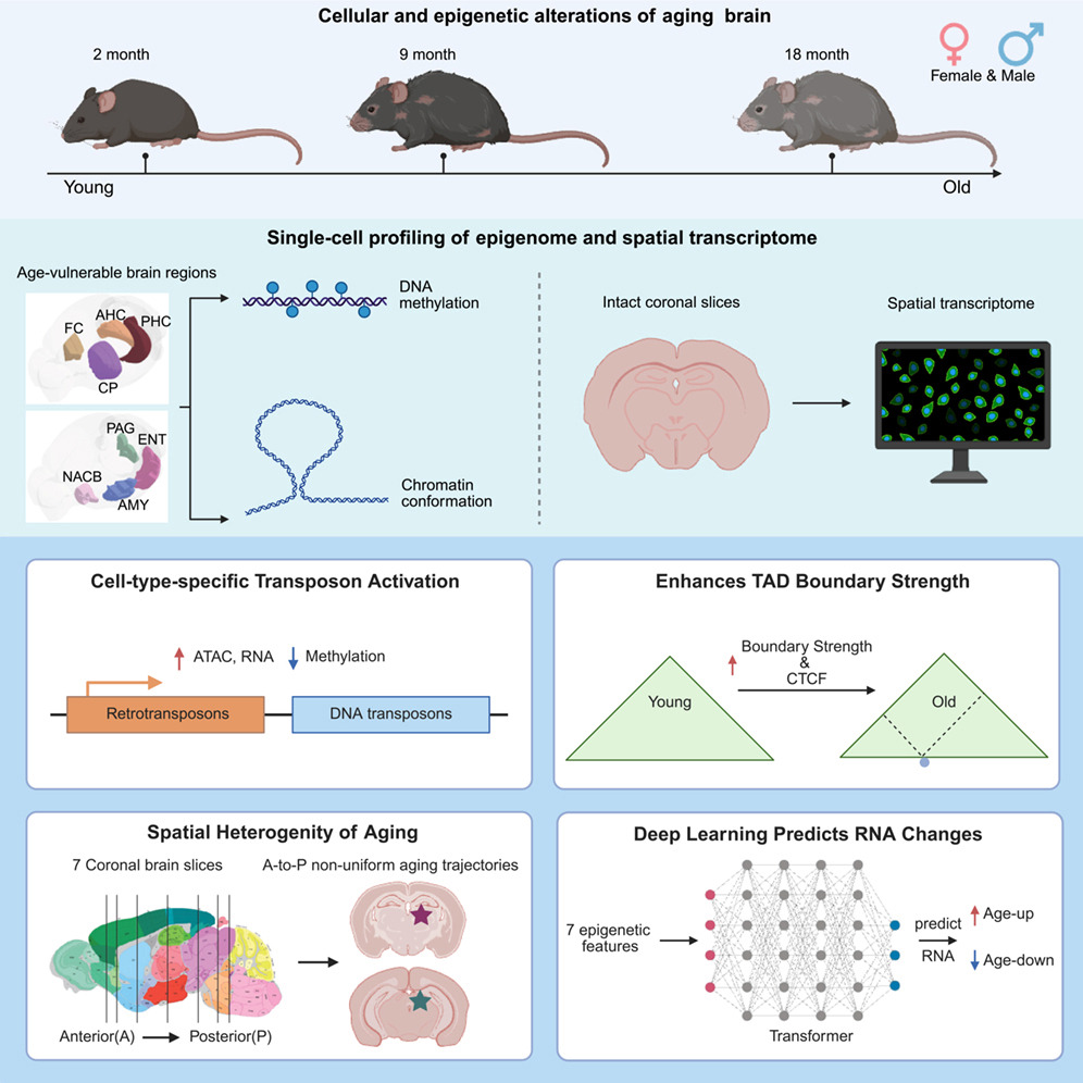 Epigenome Technologies Inc. tweet media