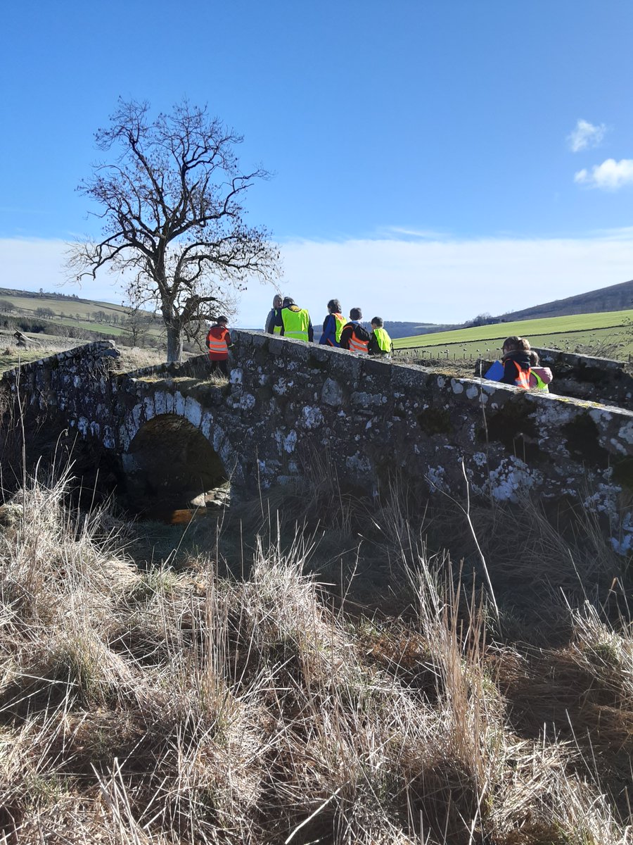 Rothiemay Primary School tweet media