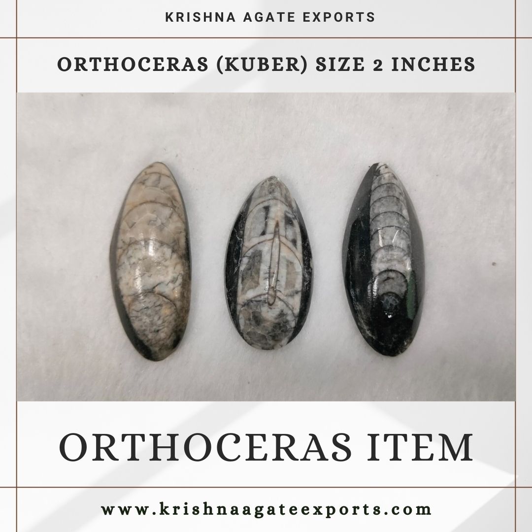 KAgateexpo5930's tweet image. Orthoceras (Kuber) Size 2 Inches | Orthoceras (Kuber) Amonite | ORTHOCERAS ITEM

📧 krishna2010agate@gmail.com
🌐 lnkd.in/d8hKbWfZ
📲 +91 9825024797, 9714224737

#krishnaagateexports #stoneart #stoneproducts #orthocerasitem #india #gujarat #virał #export