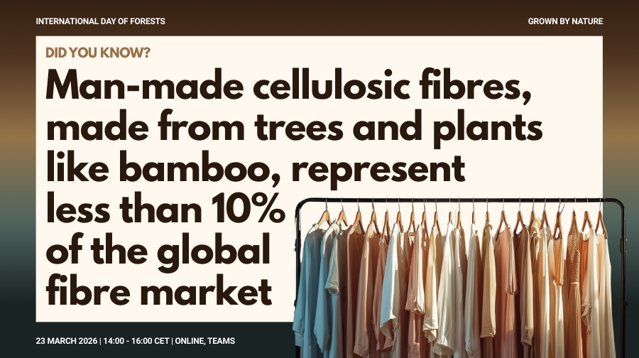 UNECE Forests tweet media