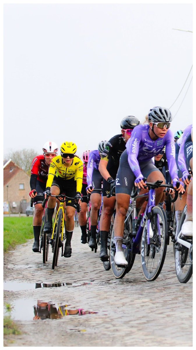 Hélène Hesters tweet media