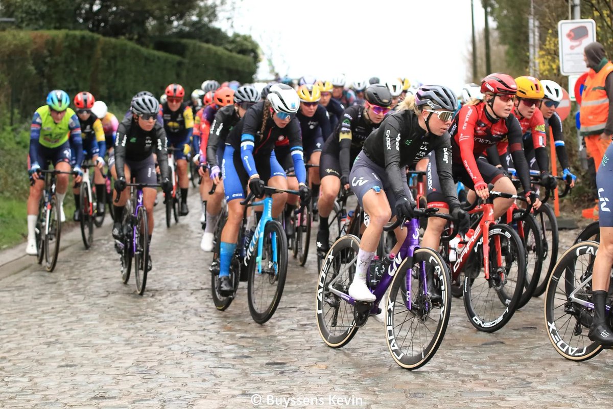 Hélène Hesters tweet media