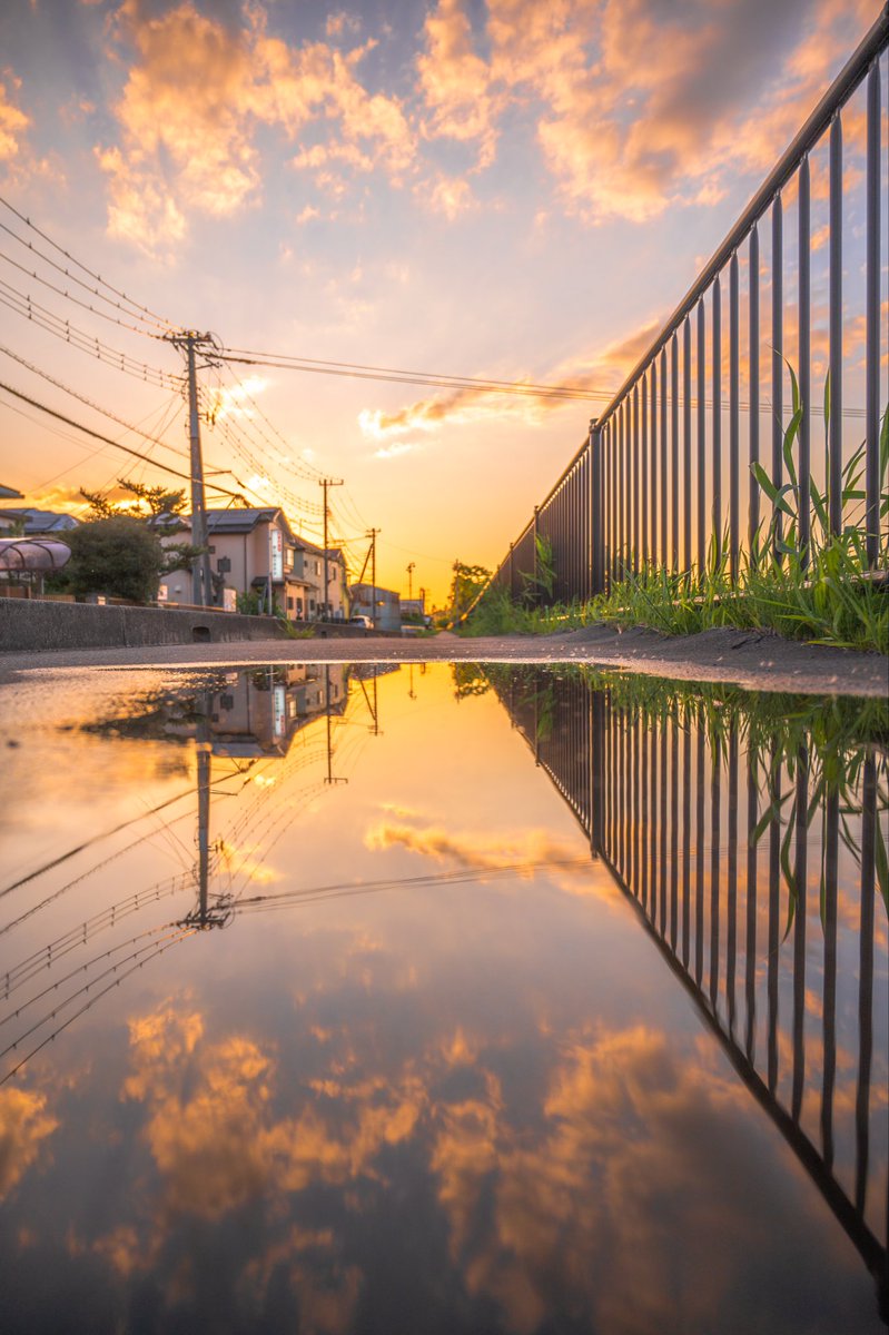 Shun Sakamoto tweet media