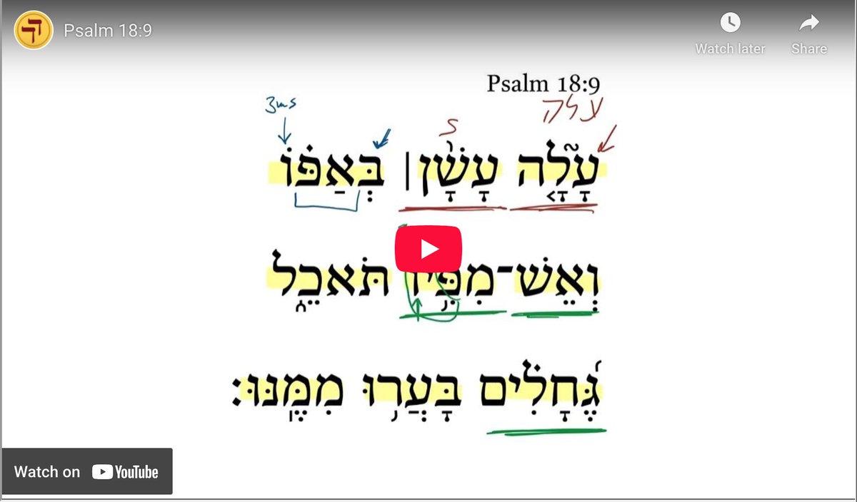 Daily Dose of Hebrew tweet media