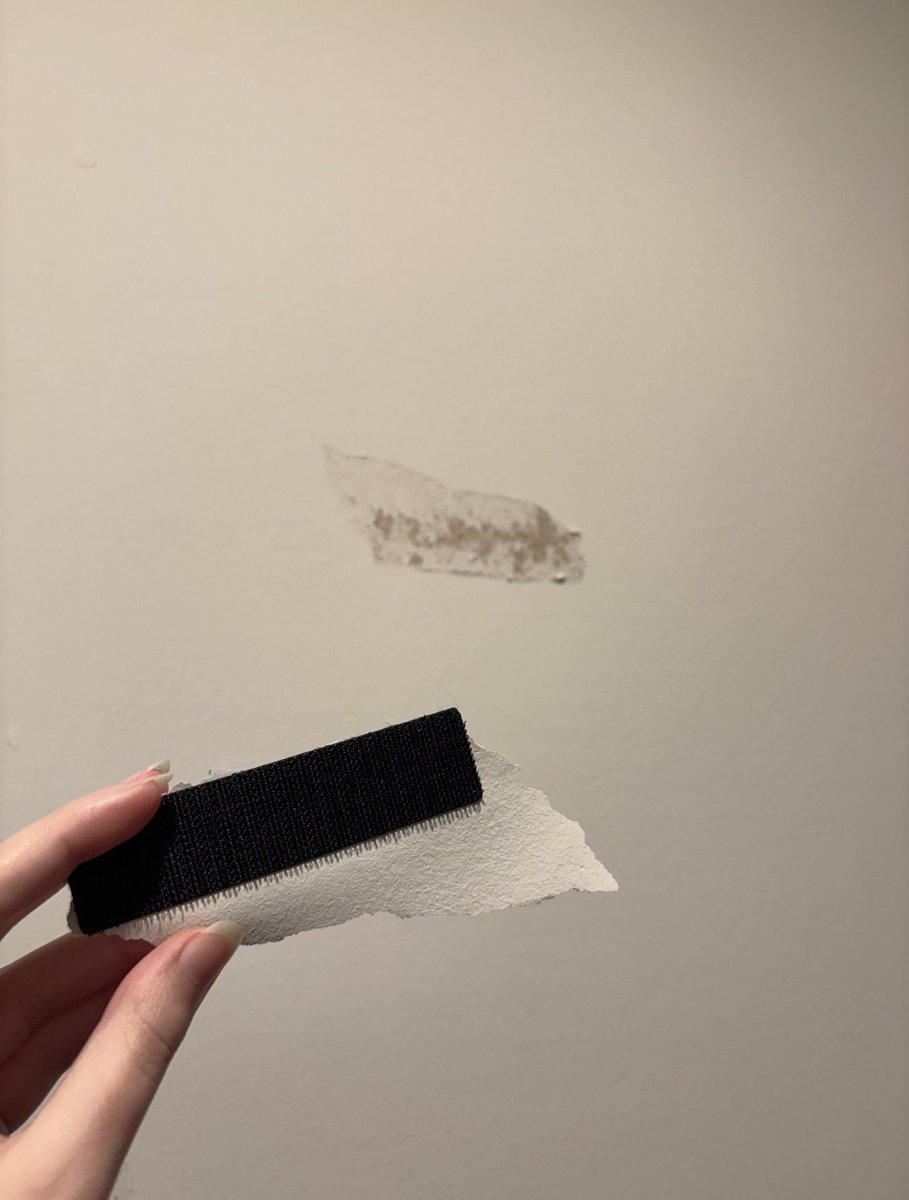 MegalodonVT | Shark Vtuber 🦈🫧💜 tweet media