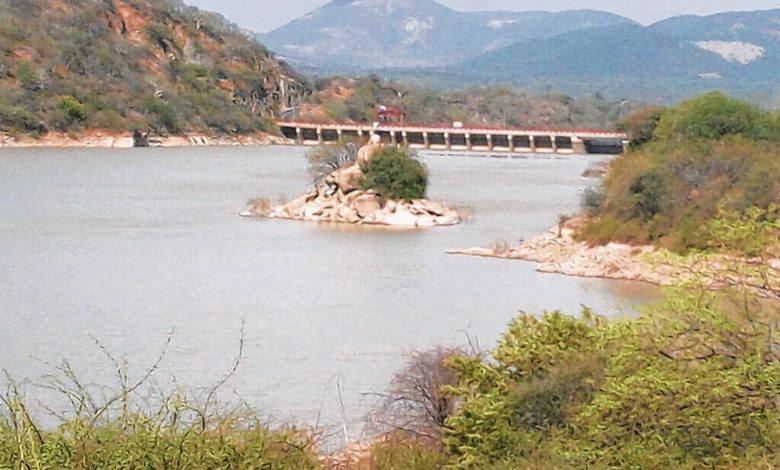 Belinda Mutashobya tweet media