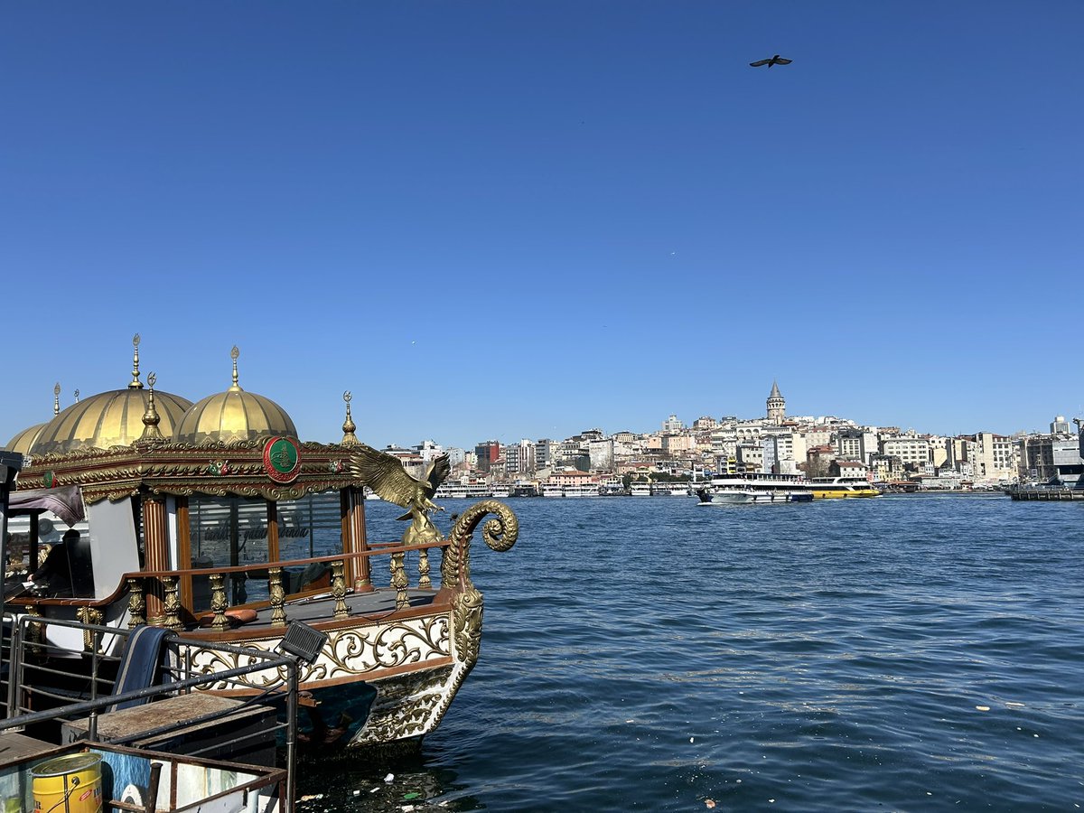 Charlie Salmon tweet media