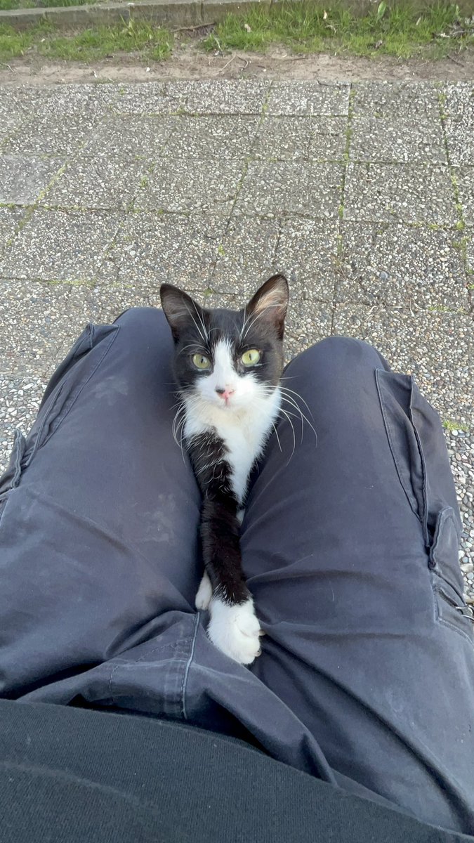 Charlie Salmon tweet media