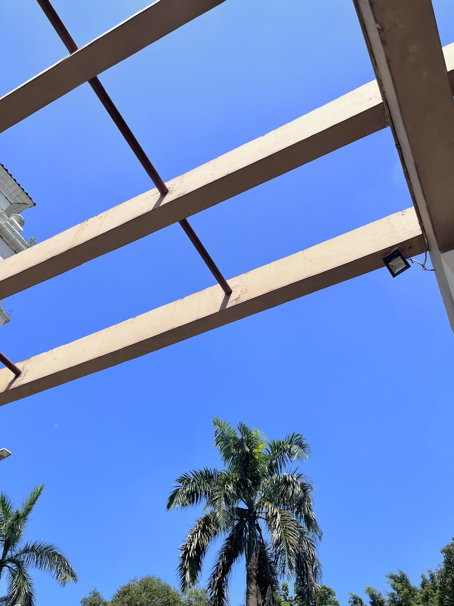 Koeki  tweet media