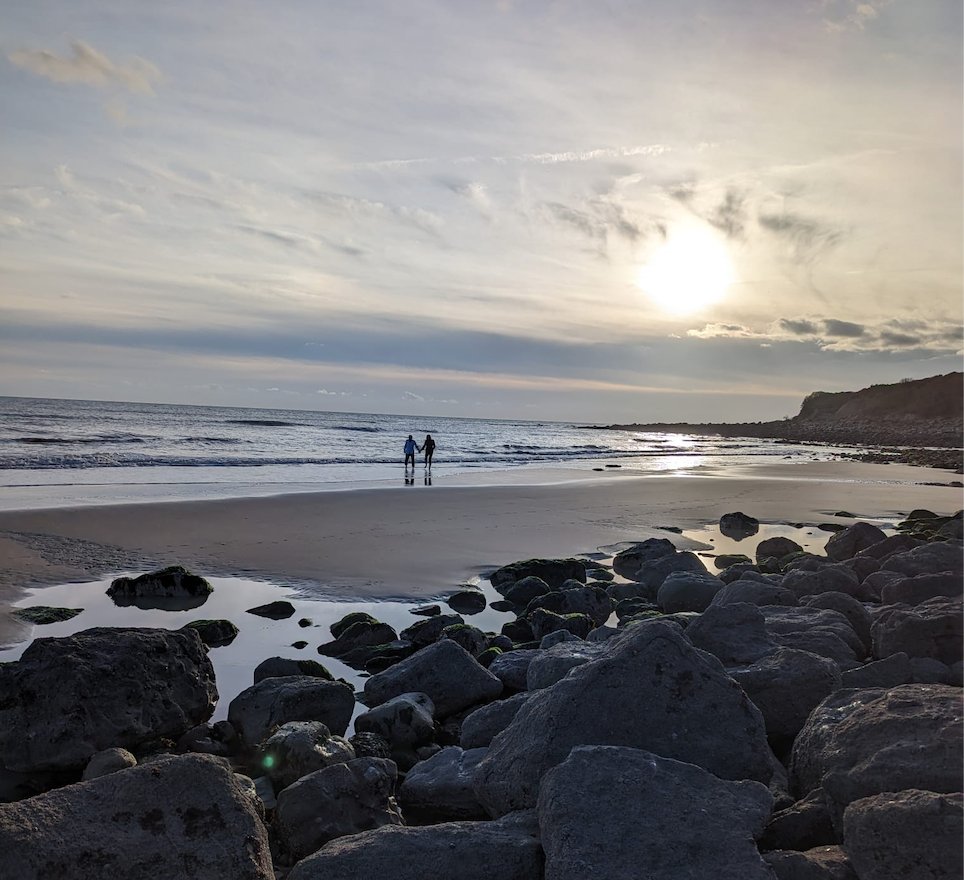 Free Flash Fiction tweet media