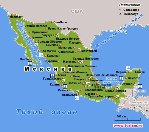 любимый комик Кирилл Сиэтлев🦁 tweet media