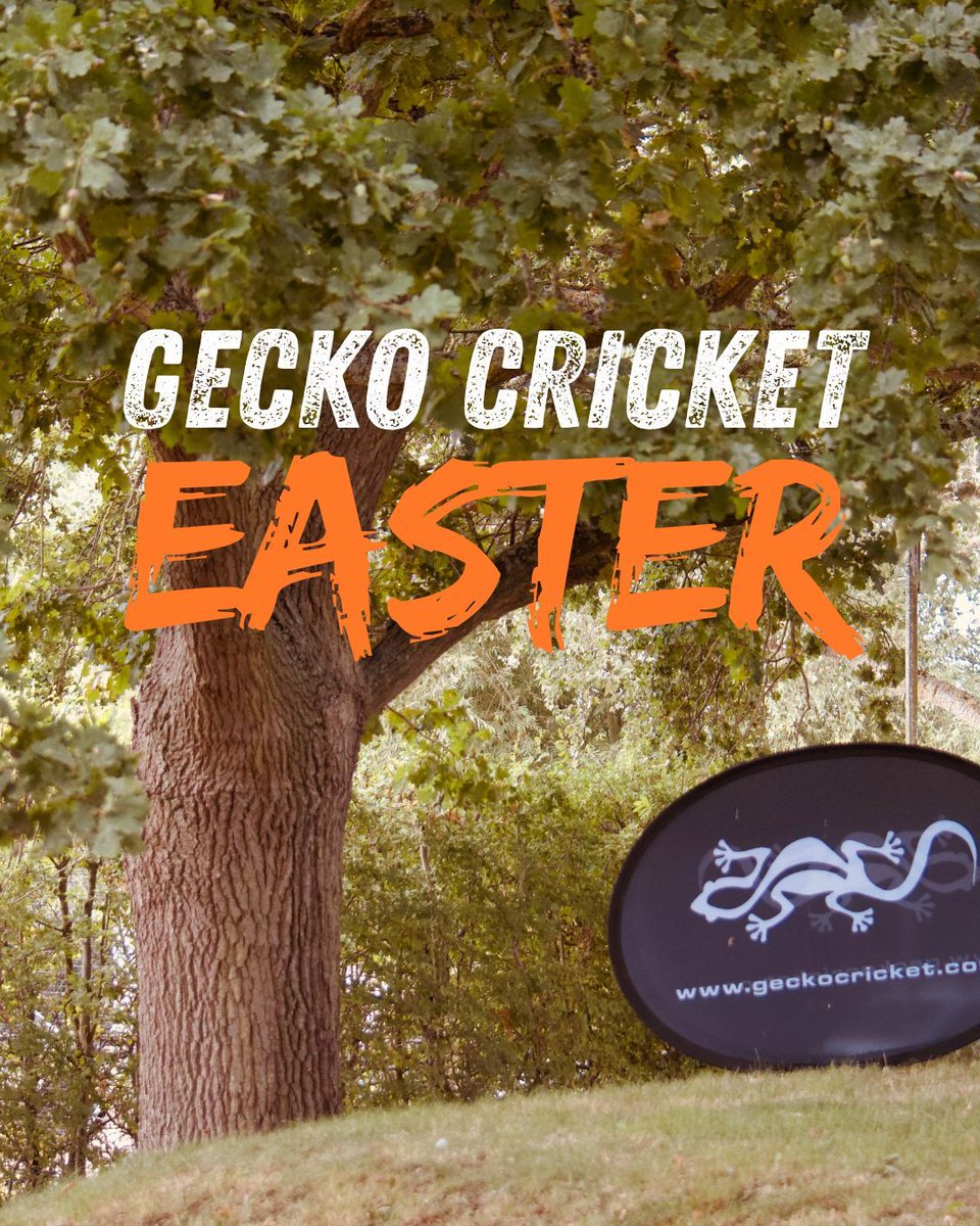 GECKO Cricket tweet media