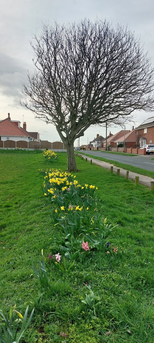 DR SIMON LEE tweet media