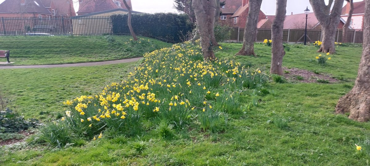 DR SIMON LEE tweet media